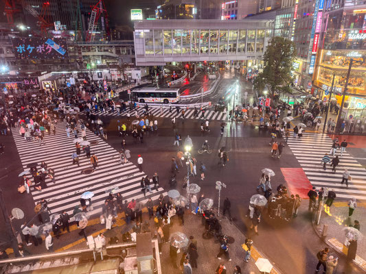 Shibuya Kreuzung