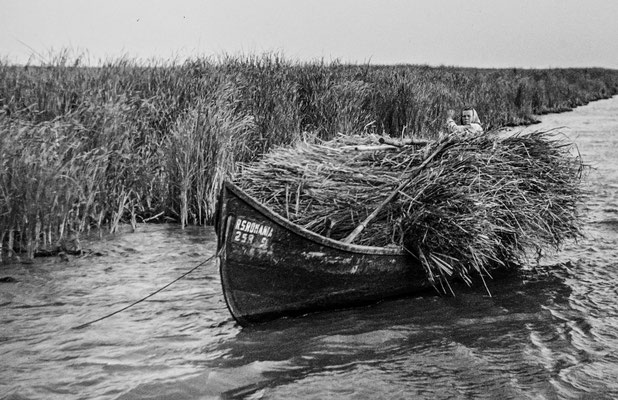 Donaudelta