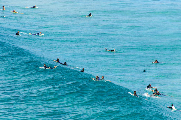 Bondi Beach