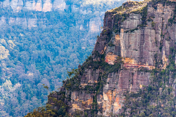 Blue Mountains