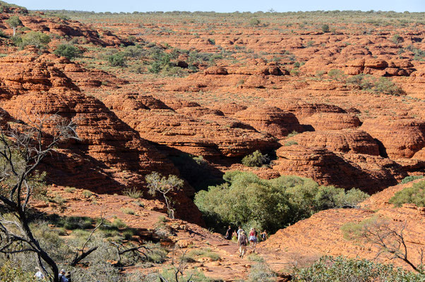 Kings Canyon