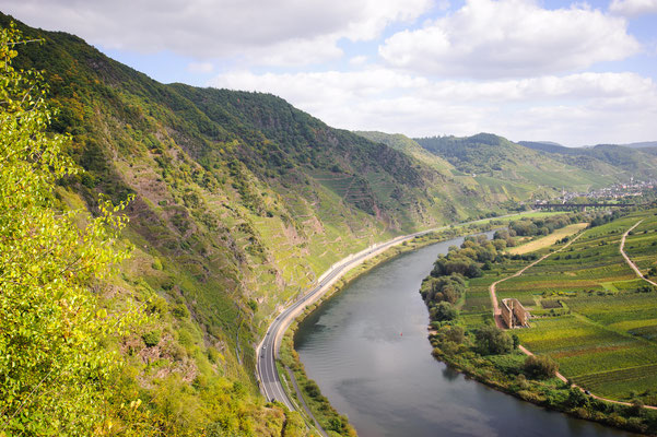 Mosel (Blick vom Calmont auf Ediger-Eller)