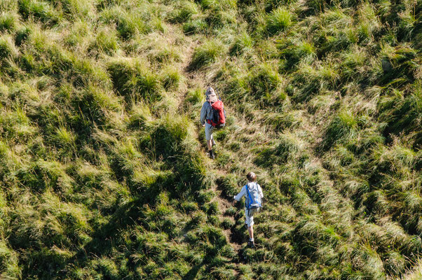 Auf dem Weg zum Rigi