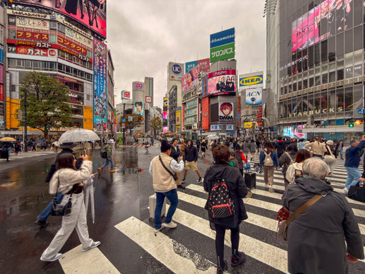 Shibuya Kreuzung