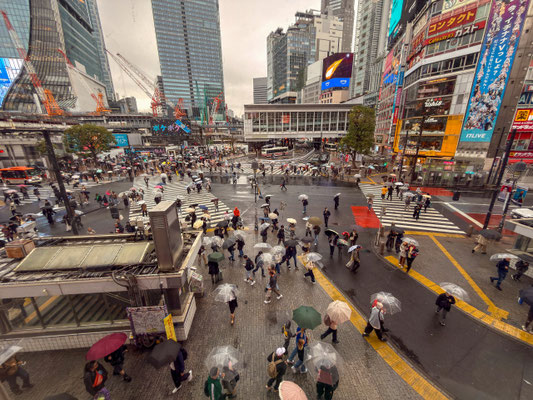 Shibuya Kreuzung