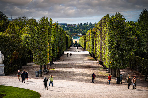 Schlosspark Schönbrunn