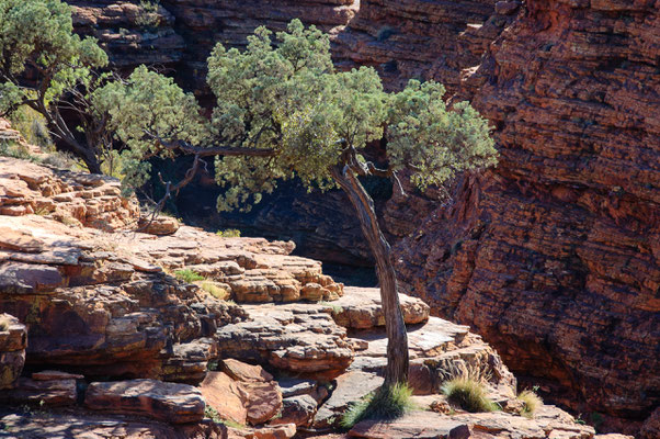 Kings Canyon