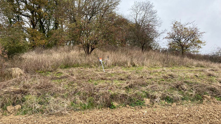 Ohne die jährliche Pflege würde es auf dem Klöderpott anders aussehen.  | Foto: Monty Erselius 2024, Klöderpott