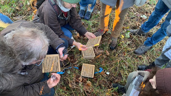 Unterkunft für Wildbienen zur Bestäubung einer Streuobstwiese.