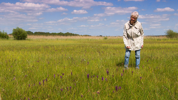 Botanikerin Meta Häntschel inmitten von prächtigen Orchideen. | Foto: Udo Steinhäuser 2025, Krakow am See