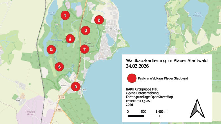 Waldkauzkartierung Plauer Stadtwald Februar 2026