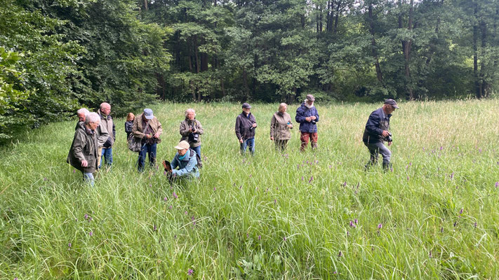Frauen und Männer bewegen sich auf einer blühenden Wiese. Einige fotografieren.