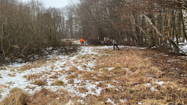 Ein winterlicher Wiesenstreifen, von aufkommender Sukzession befreit.