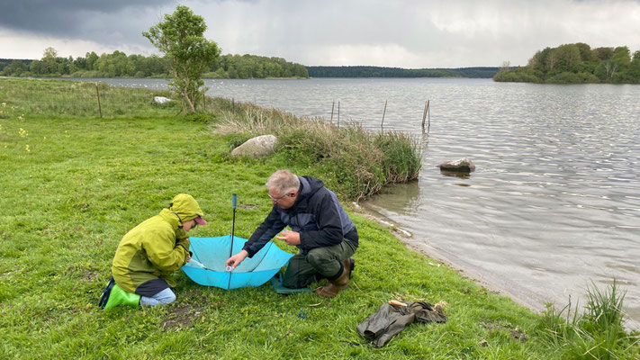Forschung spielt bei uns immer eine Rolle. Lisbeth und Udo beim Spinnenfang. | Foto: Monty Erselius 2026, Krakower Obersee