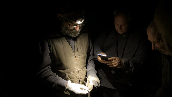 Das "Fledermaus-Team" arbeitete mit Horchboxen und Lockgeräten. Geduldig wurden die Merkmale der gefangenen Arten erklärt. Foto: Monty Erselius 2025, NSG Marienfließ