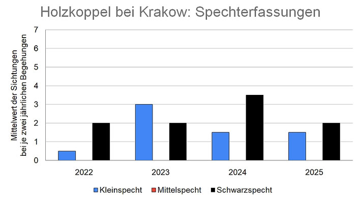 Ergebnisse 2022-2025 der Spechterfassung in der Holzkoppel bei Krakow