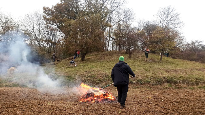 viele Hände, schnelles Ende | Foto: Jutta Sippel 2024, Klöderpott