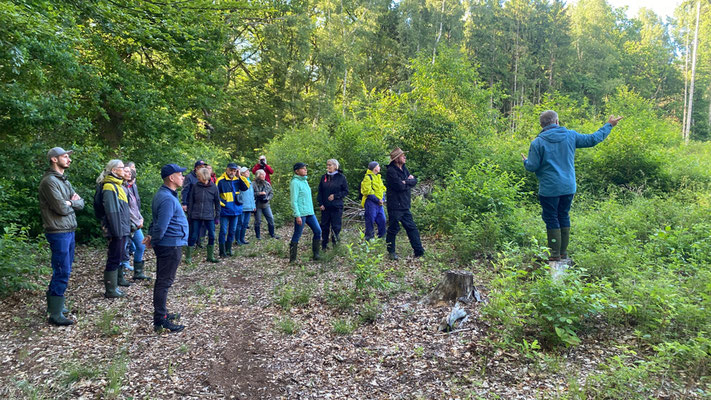 Auch im Quaßliner Moor verändert sich das Waldbild. | Foto: Monty Erselius 2026, Quaßliner Moor