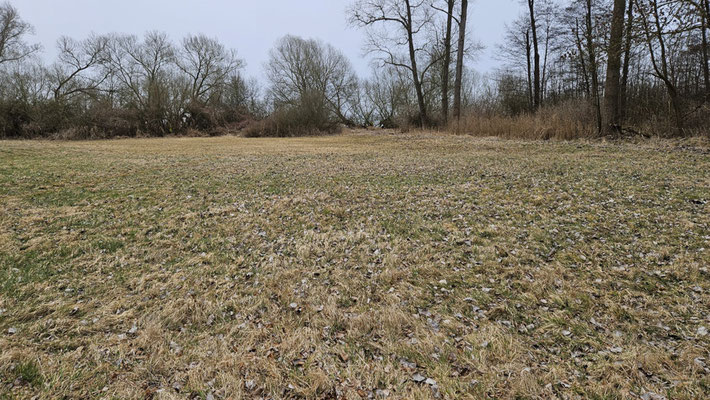 Alles fertig, wir sind auf die kommende Saison gespannt. | Foto: Inge Krüger 2026, Wiese am Strandhotel