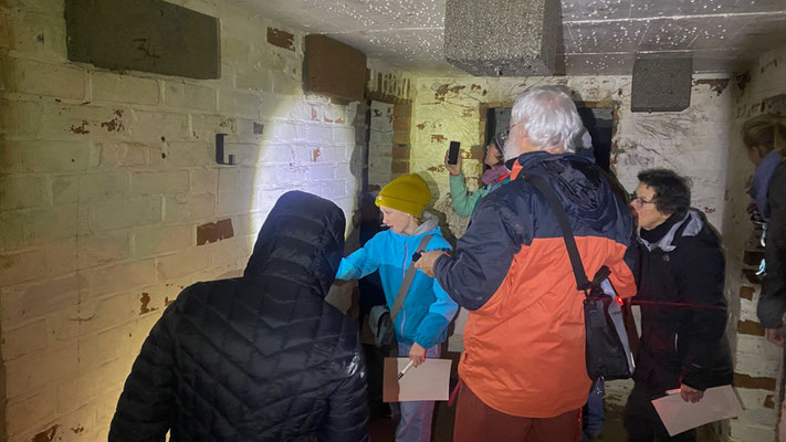 Innerhalb kürzester Zeit wurden die ersten Fledermäuse entdeckt. | Foto: Monty Erselius 2025, Bunkeranlage Bossow