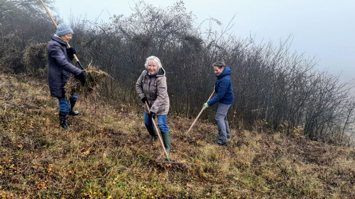 Gemähtes Gras und Buschwerk wurde am Rand der Fläche gelagert. | Foto: Steffi Schwarze 2025, Klöderpott