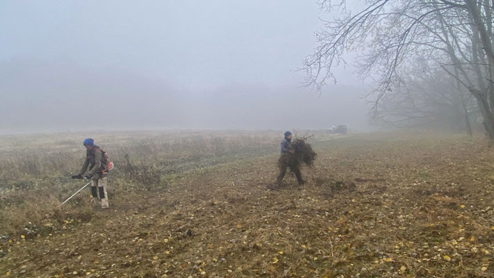 Mühsam wird gemähtes Gras, Laub und Holz von der Fläche getragen. | Foto: Monty Erselius 2025, Plauer Stadtwald