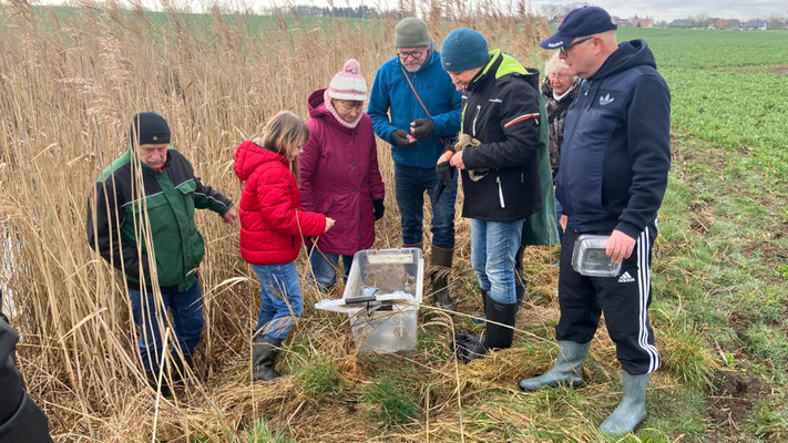 Warum fehlen hier die Amphibien - ist das Wetter schuld? | Foto: Kerstin Bull 2026, Plau am See