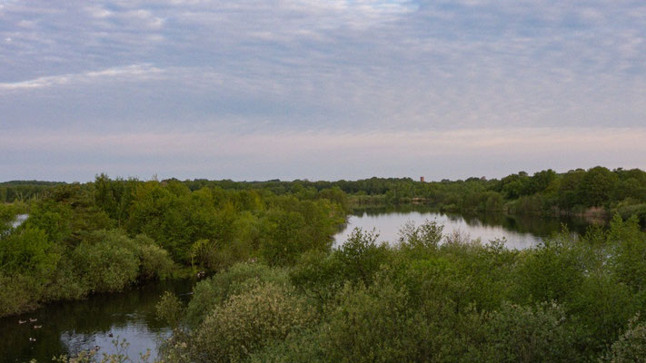 Blick über das Naturschutzgebiet „Nordufer Plauer See“ vom Moorochsen aus | Foto: Lucas Kamrath 2023, Plauer See
