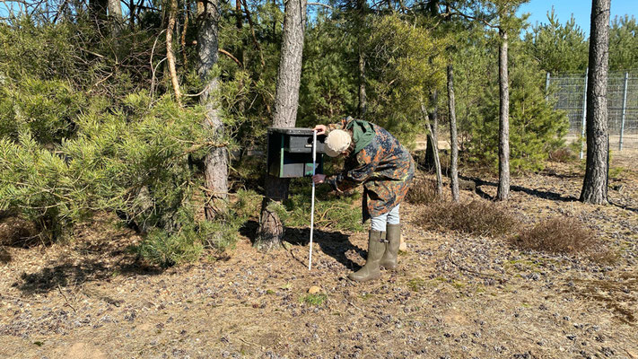 Kerstin nimmt alle wichtigen Daten der Kästen auf. | Foto: Monty Erselius 2025, NSG Marienfließ