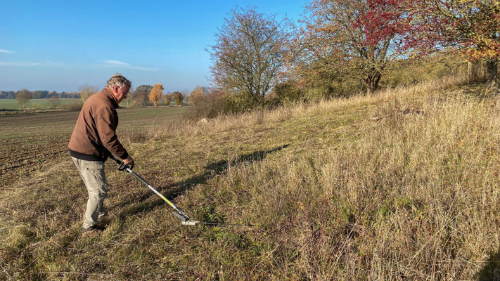 Auf ebenen Flächen leistet eine Heckenschere hervorragende Dienste. | Foto: Monty Erselius 2025, Feldflur nördlich von Plau am See