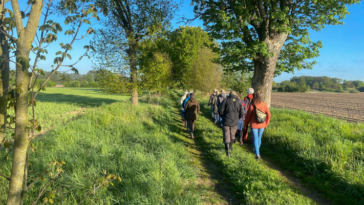 Ein alter Landweg im Mai - für alle Sinne ein Hochgenuss. | Foto: Monty Erselius 2026, Plau am See