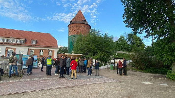 Der Plauer Burghof füllt sich. Foto: Monty Erselius 2026, Plau am See