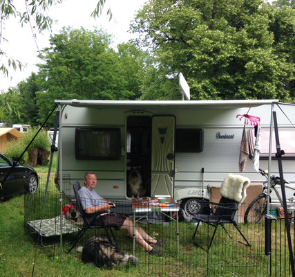 Wolfsspitz Ardeche von den Römerwölfen auf dem Campingplatz