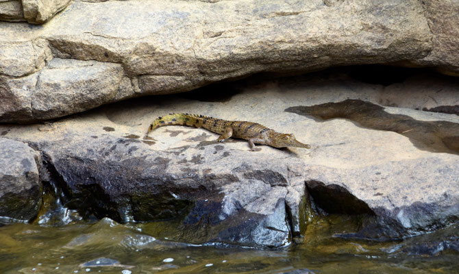 Nitmiluk Gorge Caravan Park