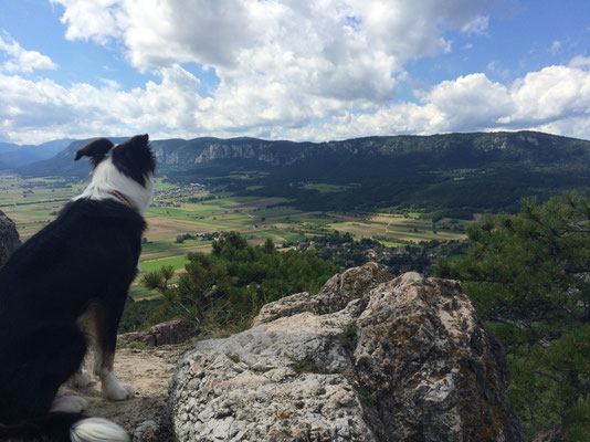 Eisensteinhohle Grossenberg Wolfsschlucht Bad Fischau Brunn Wandern Mit Hund
