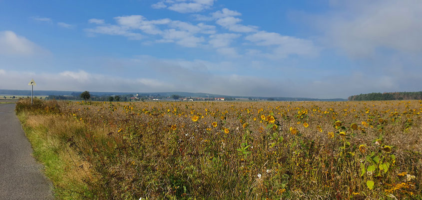 Schönfeld