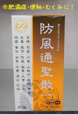 ダイエット　漢方薬　錠剤