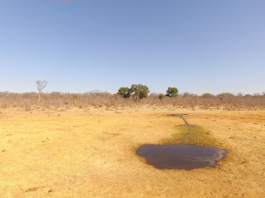 The watering hole after the installation of the solar powered borehole, looking back at the basic structure of the platform