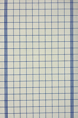 "Blue Checked Tea Towel 1", 1998, acrylic on MDF, 66 x 44 cm