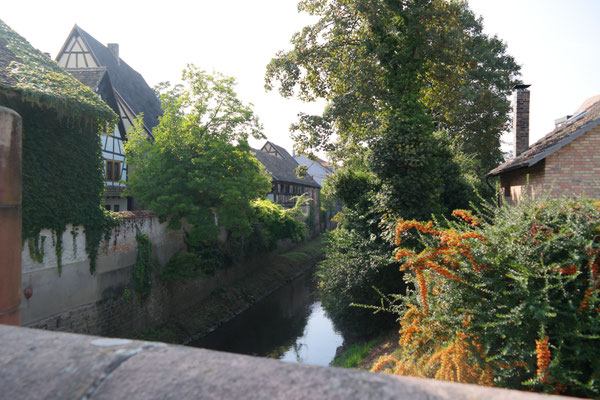 Speyerbach