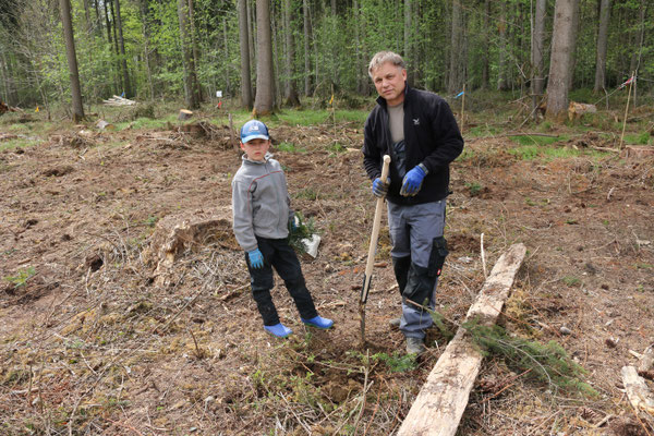 auch hier gilt : wer in jungen Jahren mit pflanzt wird den Wald immer besonders betrachten