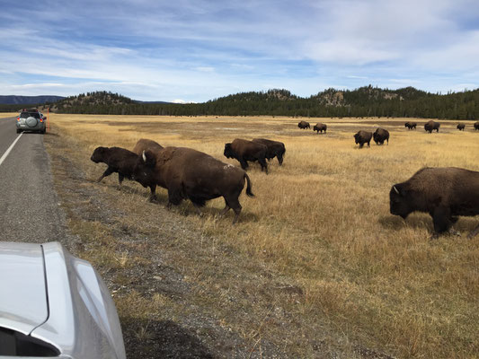 Craigslist wyoming frauen auf der suche nach männern