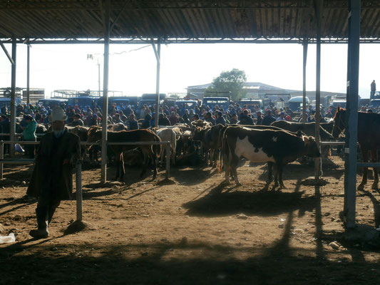 Marché aux bestiaux, Karakol city