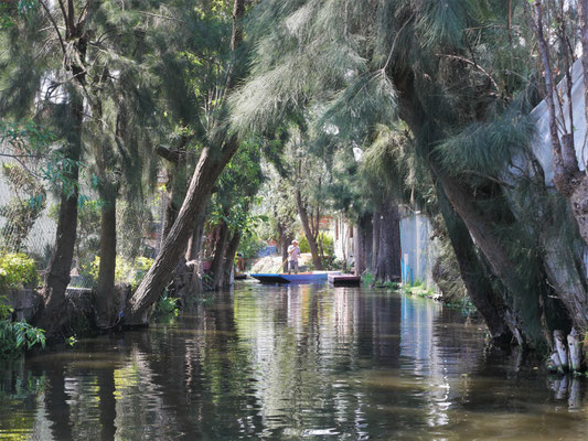 Barrio Xochimilco