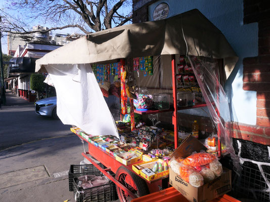 Barrio Coyoacan