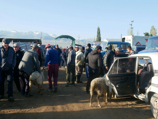 Marché aux bestiaux, Karakol city