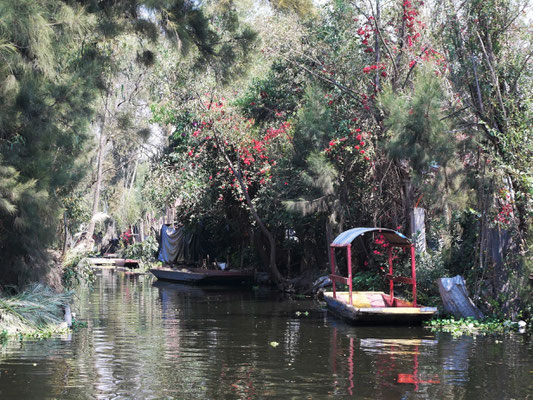 Barrio Xochimilco