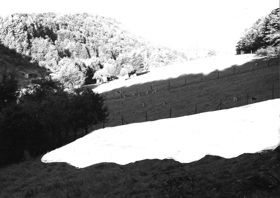 Irritierte Landschaft I Acryl/c-print 21x29,7cm 2024