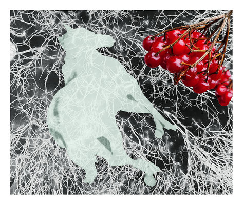Eingebrannt Diasec 106 x 91 cm 2014