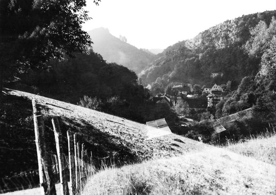 Irritierte Landschaft IV Acryl/c-print 21x29,7cm 2024